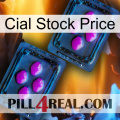 Cial Stock Price 03